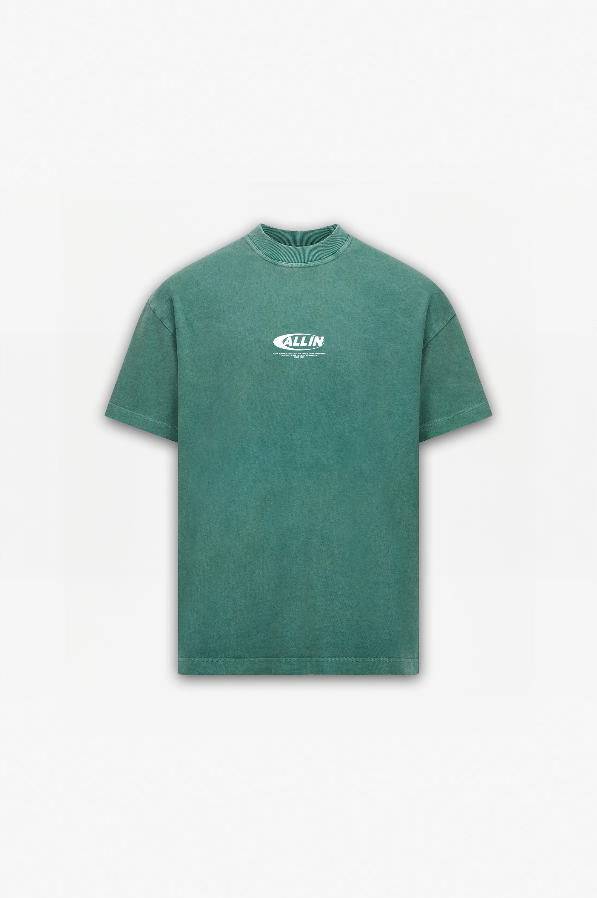 The New Quality Standard T-Shirt Washed Green